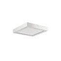 LED panel REFIDO 2CCT / 32.5 X 32.5 CM overflademonteret version, CCT Switch, UGR < 19, omskiftelig