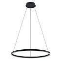 Pendel GRAHAM 1-fold, ringform IP20, sort mat dæmpbar