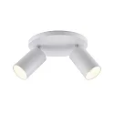 Loftlampe CAN TILT ROUND Ø 20CM 2-flammer, rund, kardanisk drejning GU10 IP20, hvid