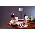 Deko-Light Batteri bordlampe BUNDLE CANIS sæt med 1, med oplader IP65, mat, rust dæmpbar