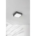 Fabas Luce Udendørs loftlampe DIUK IP65, mørkegrå