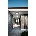 Fabas Luce Udendørs loftlampe DIUK IP65, mørkegrå