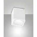 surface luminaire COIBA square IP20, satined, white