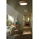 Væg- og Loftlampe TENDER LED IP20, sort mat 