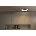 Væg- og Loftlampe TENDER LED IP20, sort mat 