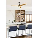 Loftsventilator ALO CCT med fjernbetjening IP20, sort mat, fyrretræ