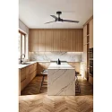 Faro Loftsventilator BARTH med fjernbetjening IP20, sort mat