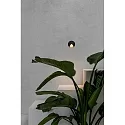 Faro Udendørs wall luminaire UVE LED IP44, mørkegrå 