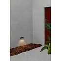 Faro Udendørs wall luminaire MUST LED IP65, mørkegrå 