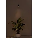 Faro outdoor wall luminaire PLOM LED IP64, dark grey 