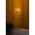 Faro Gulvindbygningslampe TRAS 25L / 13° / 700MA 12-flammer, stiv IP67, sort mat dæmpbar