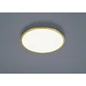 LED Loftlampe RACK LED, rund, IP20, guldblad