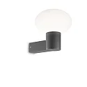 Udendørs wall luminaire CLIO uden skærm E27 IP44, antracit