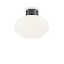 Udendørs loftlampe CLIO uden skærm E27 IP44, antracit