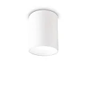 Loftlampe NITRO ROUND stor, rund, med linseoptik IP20, hvid mat 