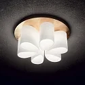 Ideal Lux Loftlampe DAISY 6-flammer E27 IP20, guld, hvid