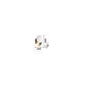 wall luminaire NINFEA AP1 GX53 IP20, white