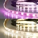 LED Strip SIL RGB+WW Flexband