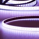 LED Strip AQUA RGB-Linear-Flexband