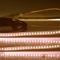 LED Strip CRI FOOD FLEX BREAD 2-polet hvid