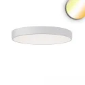 Loftlampe COLOR SWITCH ROUND - Ø 80CM CCT Switch, UGR < 19, multipower IP20, hvid dæmpbar