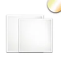 LED panel BACKLIGHT LINE 625 ColorSwitch - DIM CCT Switch, UGR < 19, dimmable 36W 4350lm 3000 / 4000 / 6000K 120° 120° CRI 90