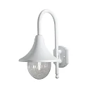 Udendørs wall luminaire BARI E27 IP44, gennemsigtig, hvid