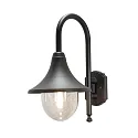 Udendørs wall luminaire BARI E27 IP44, sort, gennemsigtig