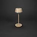 Batteri bordlampe LYON med USB tilslutning, CCT Switch, RGB, med touch-dæmper IP54, terracotta dæmpbar
