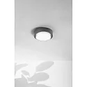 Fabas Luce Udendørs loftlampe OWEN IP65, mørkegrå