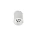 ceiling luminaire TUBE CEILING LED IP20, white dimmable