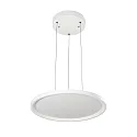 LED panel LED PENDEL-PANEL R600 DALI styrbar, dæmpbar, dæmpbar 38W 4300lm 3000K 110° 110° CRI >80