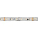 LED Strip 5050 RGB+WW/CW SMD - 2M / 12MM RGBW hvid