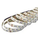 LED Strip 5050 RGB+WW/CW SMD - 5M / 12MM RGBW white