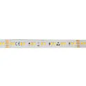 LED Strip SMD 2835 SCCT MP - 5M / 12MM CCT Switch, multipower white