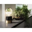 Paulmann Top spejl lyskilde globeformet DECO GLOBE G95 LED GOLD ON-OFF G95 klar E27 6,5W 600lm 2700K CRI >80 dæmpbar