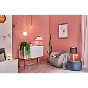 Paulmann Dekorativ glødelampe G95 E27 6,5W 680lm 2500K CRI >80 dæmpbar