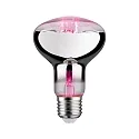 Reflektorpære R80 GROW GREEN LED R80 E27 6,5W 200lm 1300K 60° CRI >30 