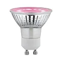 LED reflektorpære PLANT GU10 3,5W 95lm 1100K 110° 