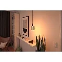 Paulmann LED glødelyskilde METALLIC GLOW CYLINDER HELIX omskiftelig E27 3,5W 110lm 1800K CRI >80 