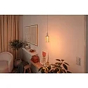 Paulmann LED glødelyskilde METALLIC GLOW CYLINDER SPIRAL omskiftelig E27 4,2W 200lm 1800K CRI >80 