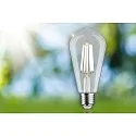 Paulmann lamp Edison pear shape ECO-LINE ST64 FILAMENT switchable ST64 clear E27 4W 840lm 4000K 360° CRI >80  clear