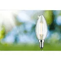 Paulmann filament lamp candle ECO-LINE CANDLE switchable P45 clear E14 4W 840lm 3000K 360° CRI >80  clear