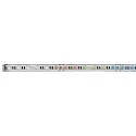 LED Strip MAX LED STRIPE, 1m, RGBW, 5,5W, 24V, belagt