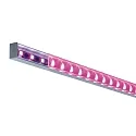 Paulmann Paulmann Square Profile with diffuser, anodized aluminum, 200cm