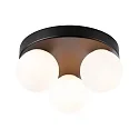 wall and ceiling luminaire GOVE G9 IP44, mat, black 