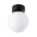 Paulmann wall and ceiling luminaire GOVE IP44, mat, black 