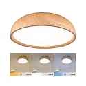 Badeværelse lampe OKA CCT Switch, omskiftelig IP44, træ, mat 