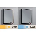 Paulmann Spejl med belysning MIRO 45 X 60CM firkantet, tunable white, med hylde IP44, sort mat 