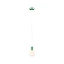 pendant luminaire NEORDIC TILLA 1 flame E27 IP20, light green dimmable